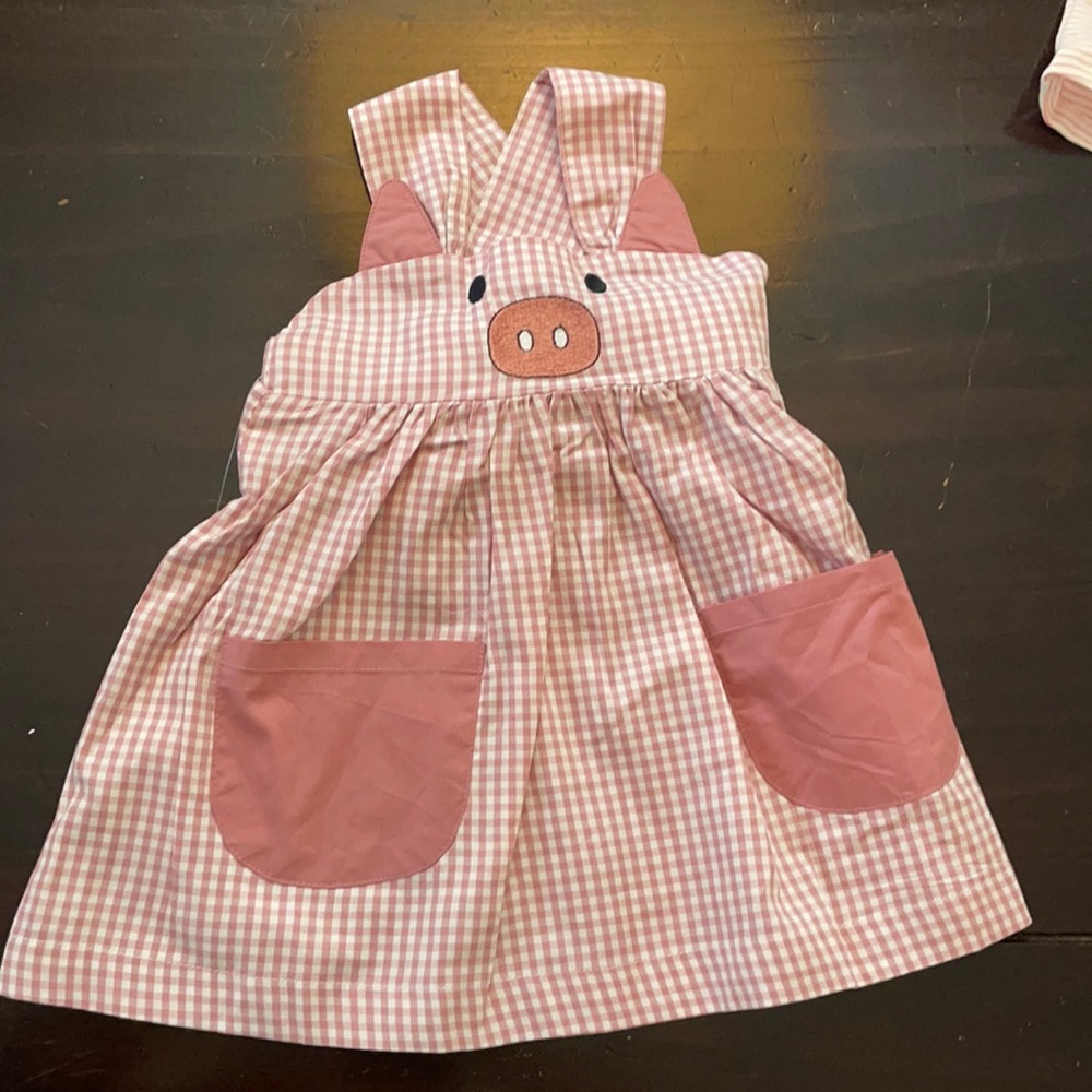 Lil Cactus Blush/Pink Gingham Pig Dress